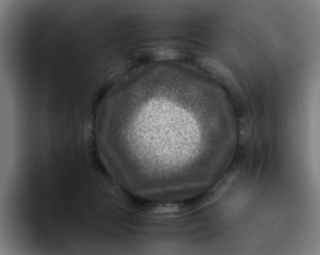 X0000094180369200711161733