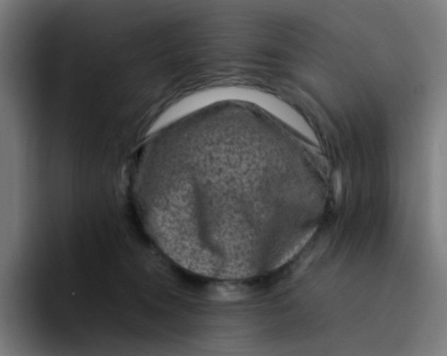 X0000094180372200711161733