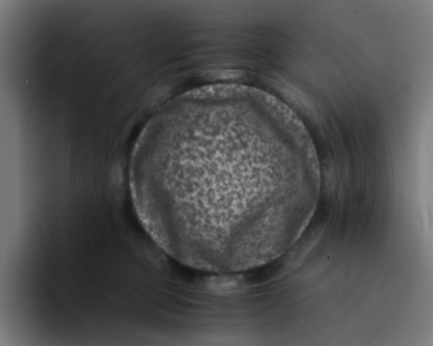 X0000094180373200711161733
