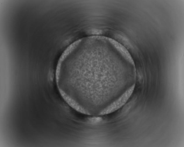 X0000094180374200711161733