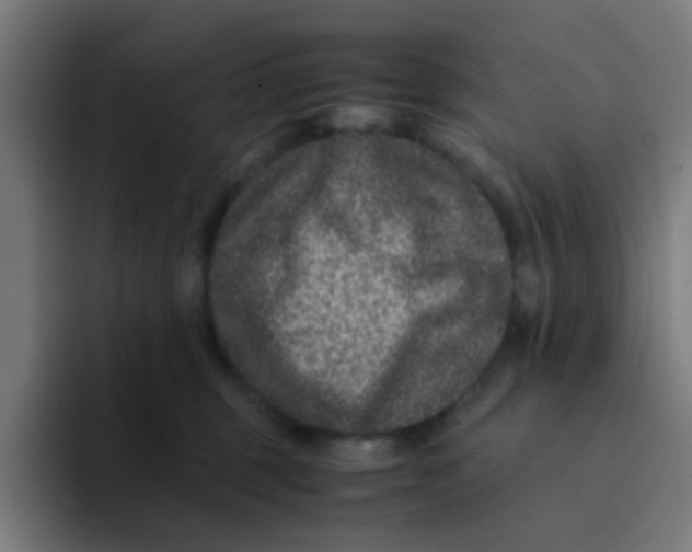 X0000094180375200711161733