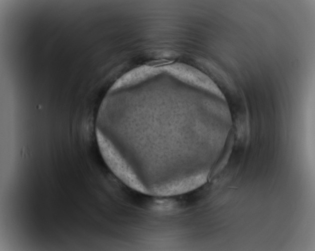 X0000094180376200711161733