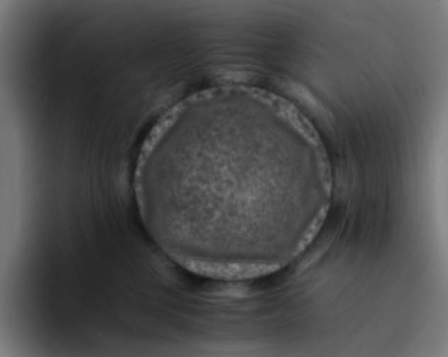 X0000094180377200711161733