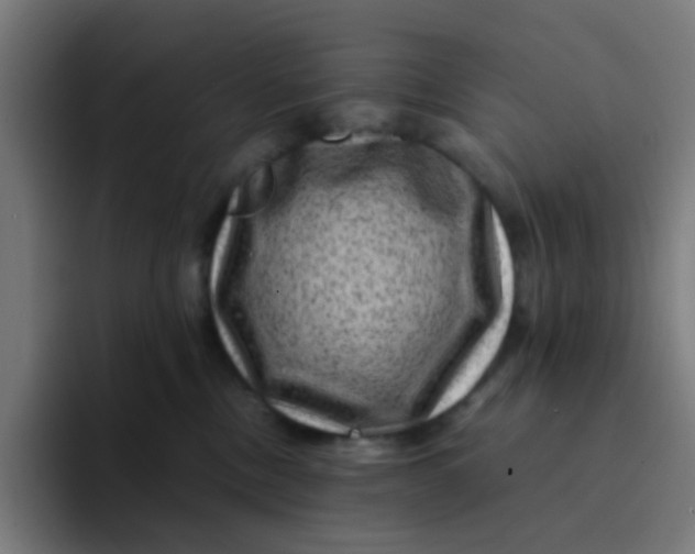 X0000094180378200711161733