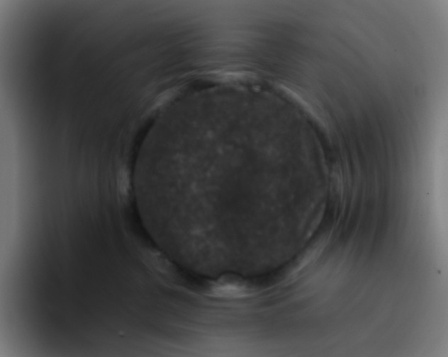 X0000094180380200711161733