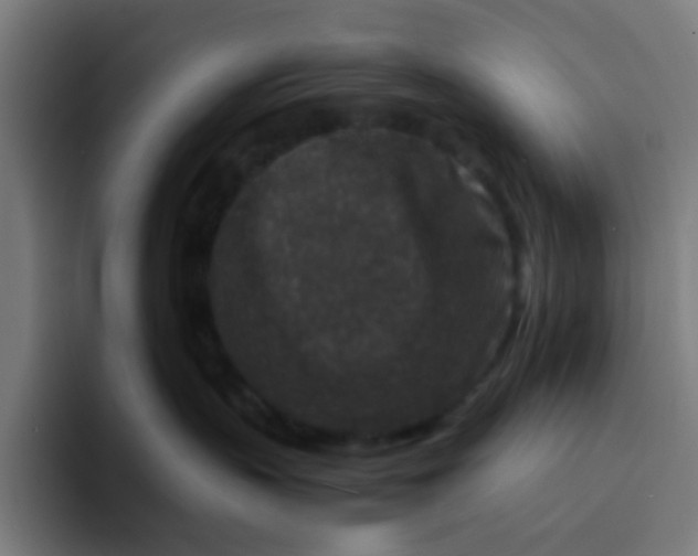 X0000094180383200711161733