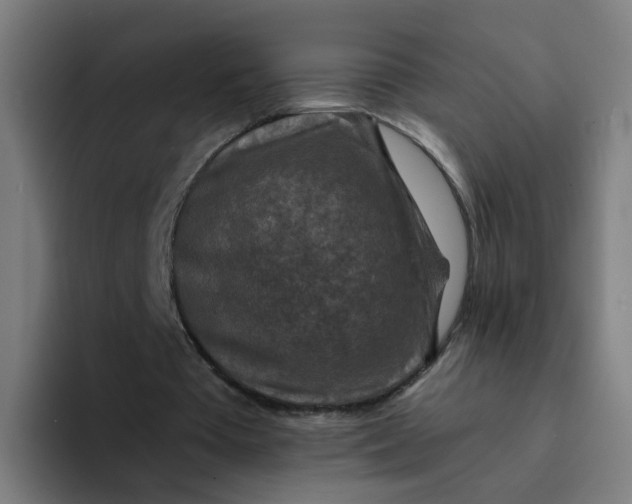 X0000094180385200711161732