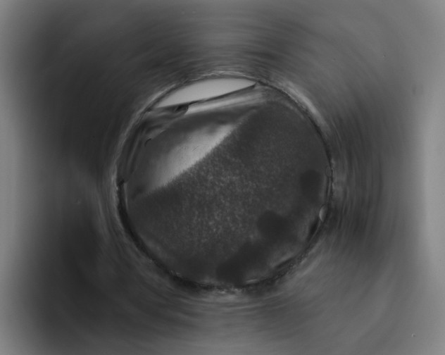 X0000094180386200711161732