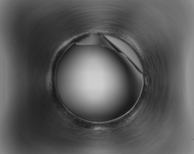 X0000094180388200711161732