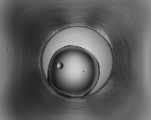 X0000094180389200711161732