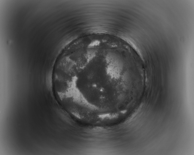 X0000094180390200711161732