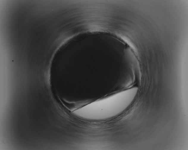 X0000094180391200711161732