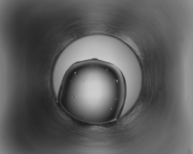 X0000094180393200711161732