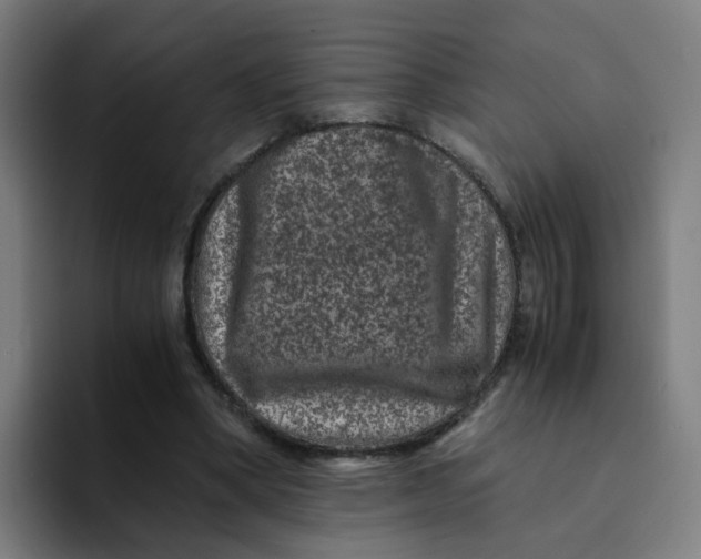 X0000094180394200711161732
