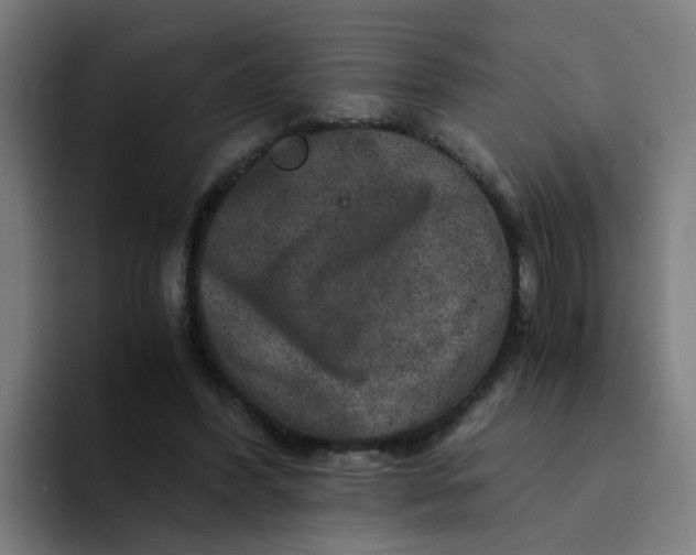 X0000094180396200711161732