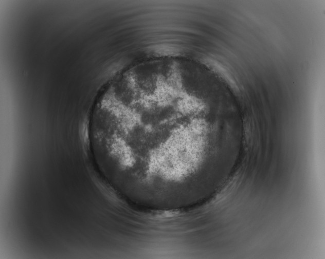 X0000094180398200711161732