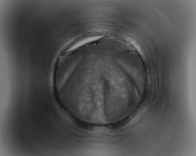 X0000094180399200711161732