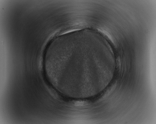 X0000094180400200711161732
