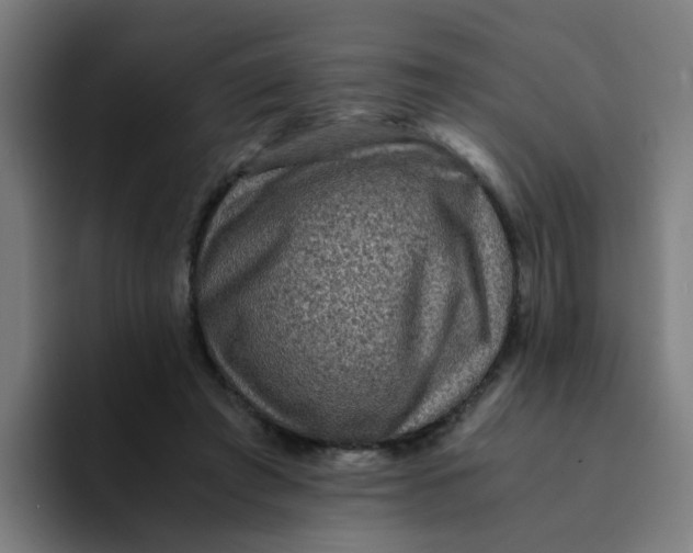 X0000094180401200711161732