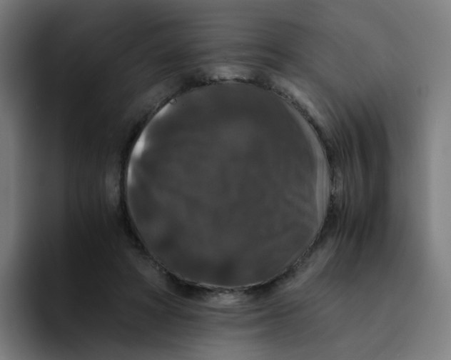 X0000094180402200711161732
