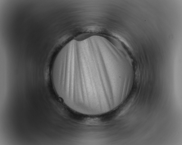 X0000094180403200711161732
