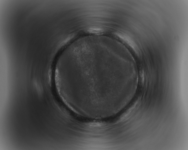 X0000094180404200711161732