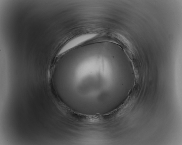 X0000094180405200711161732