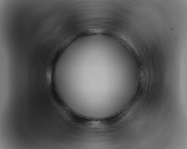 X0000094180406200711161732