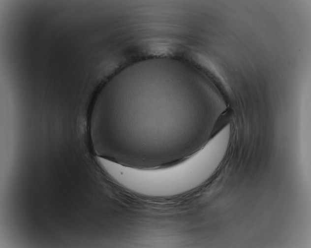 X0000094180407200711161732