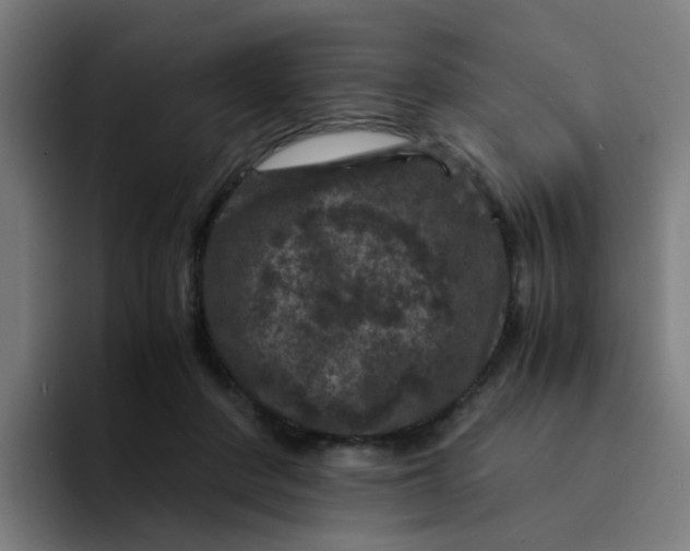 X0000094180408200711161732