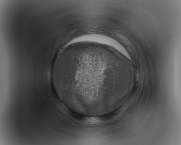 X0000094180409200711161732