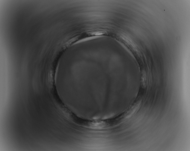 X0000094180410200711161732