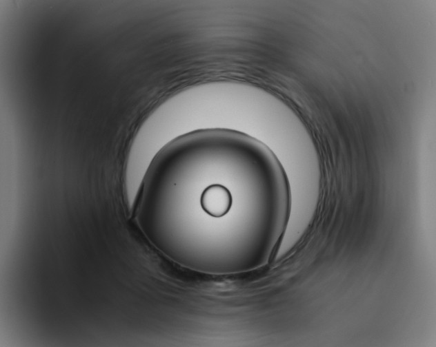X0000094180411200711161732