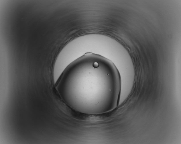 X0000094180413200711161732