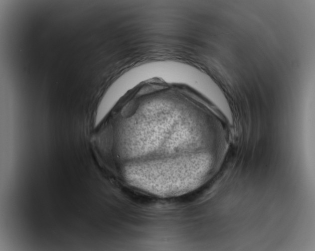 X0000094180416200711161732