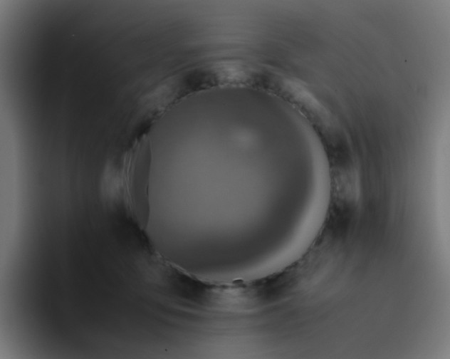 X0000094180419200711161732