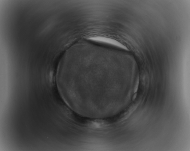 X0000094180420200711161732
