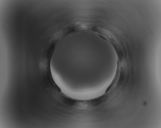 X0000094180423200711161732