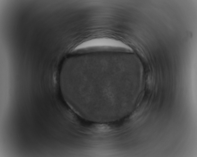 X0000094180424200711161732