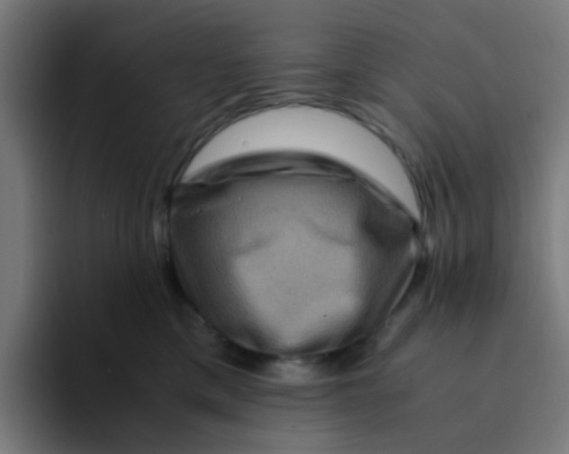 X0000094180425200711161732