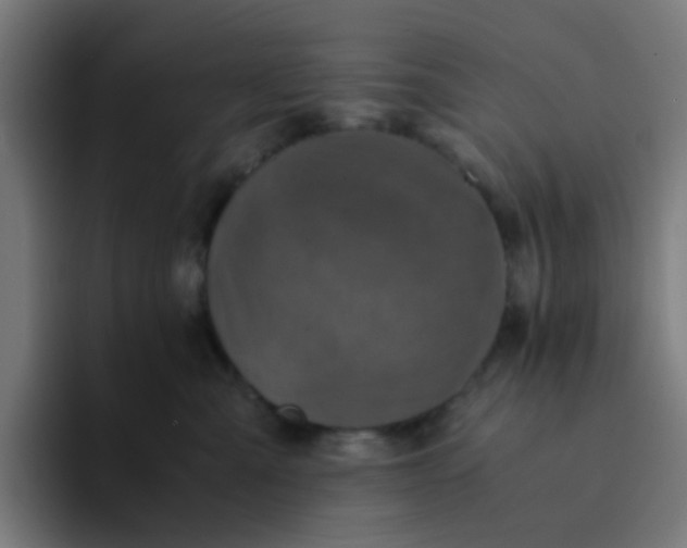 X0000094180427200711161732