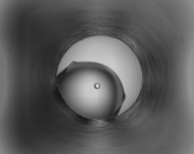 X0000094180429200711161732