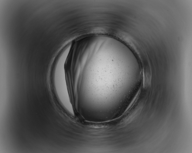 X0000094180435200711161731