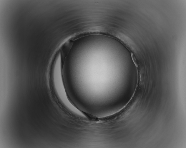 X0000094180436200711161731