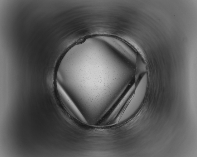 X0000094180437200711161731