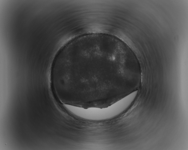 X0000094180438200711161731