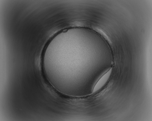 X0000094180439200711161731