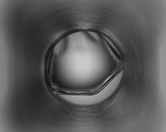 X0000094180440200711161731