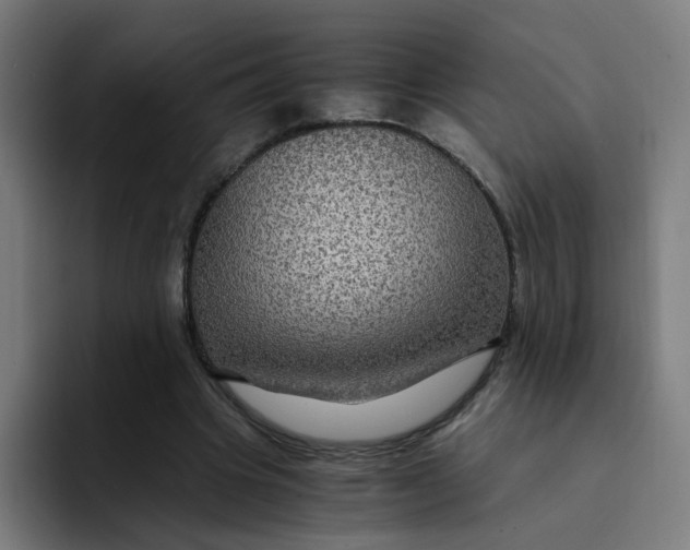 X0000094180441200711161731
