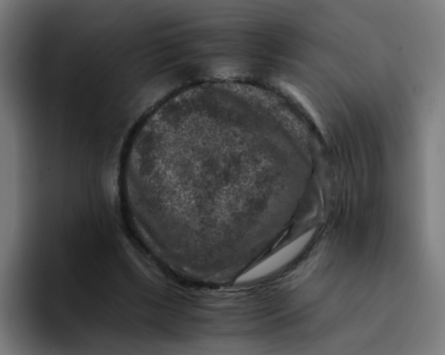 X0000094180443200711161731